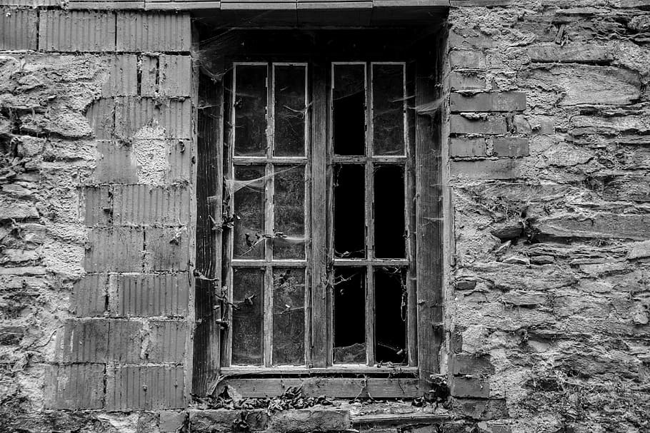 window, leave, brittle, ruin, decay, dilapidated, disc, building HD wallpaper