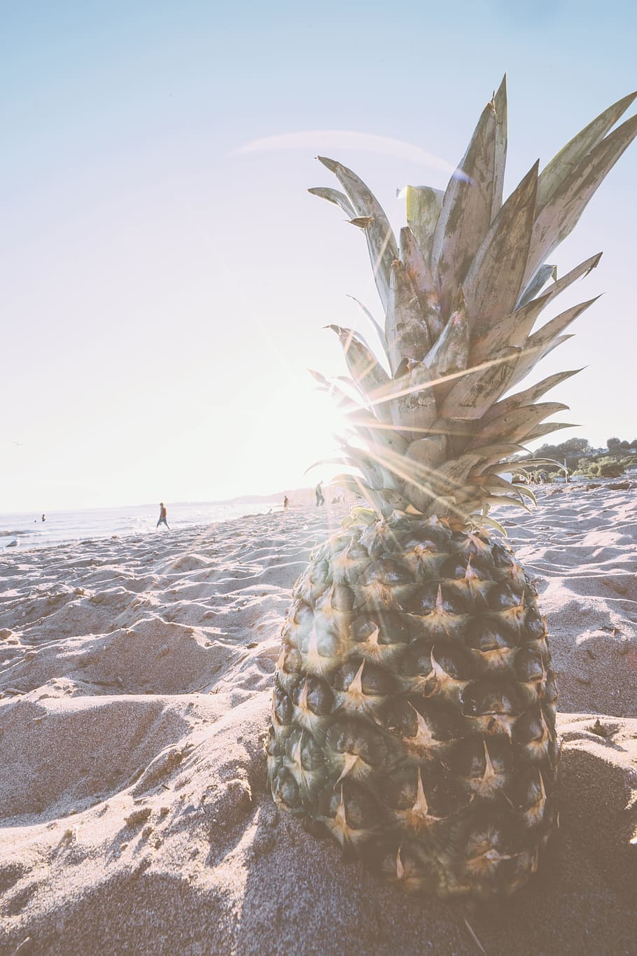 pineapple, dessert, appetizer, fruit, juice, crop, beach, ocean HD wallpaper