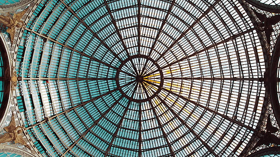 worms eye view photography of cathedral ceiling, worm's eye-view of building HD wallpaper