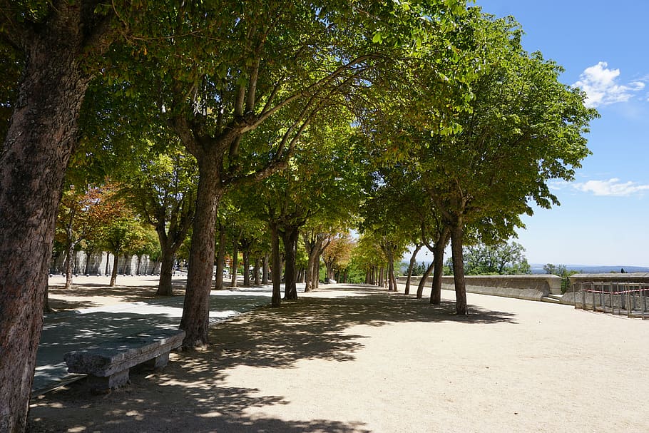 spain, trees, summer, dump, beach, outdoors, scenics, day, nature HD wallpaper
