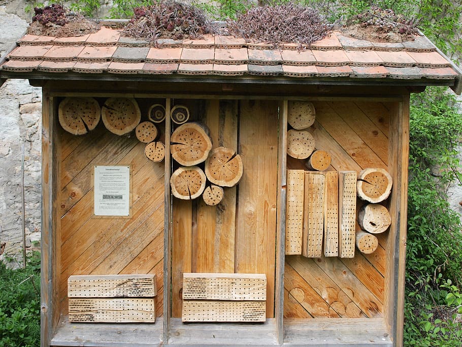 insect hotel, insect house, hibernation help, nature conservation, HD wallpaper