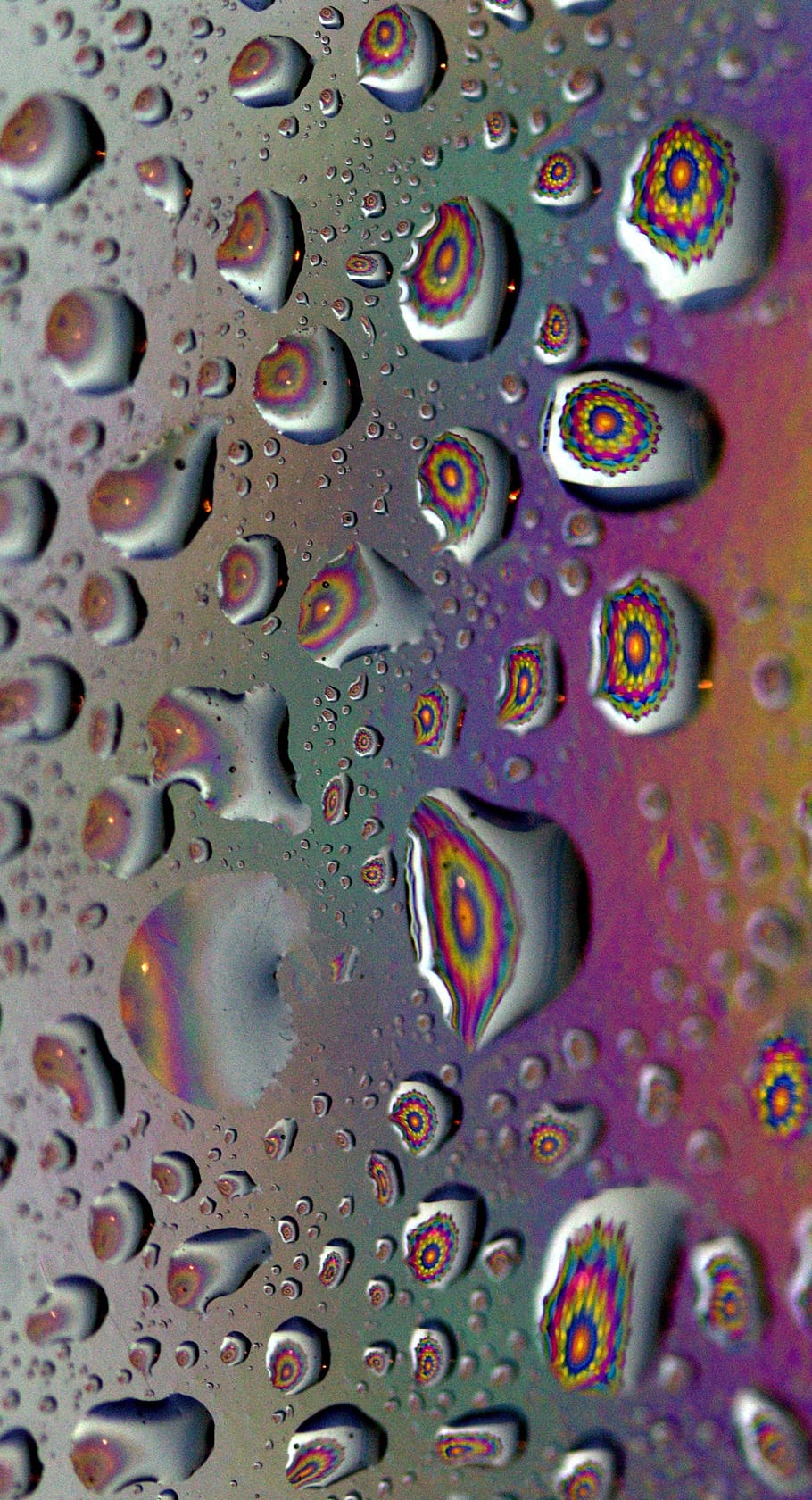 drops, reflection, water, rain, full frame, backgrounds, close-up HD wallpaper