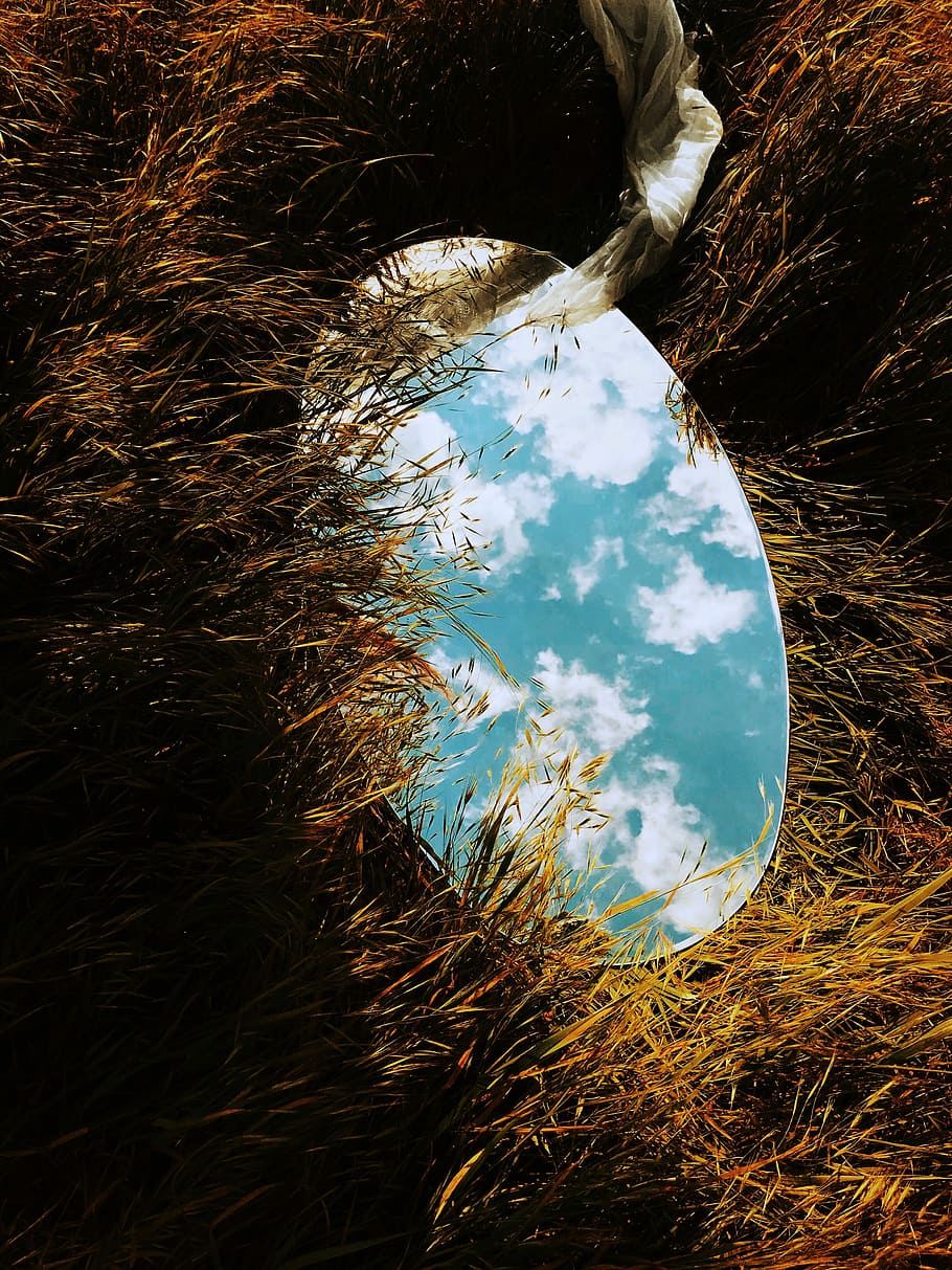 round mirror on grass, oval mirror on green grass field at daytime HD wallpaper