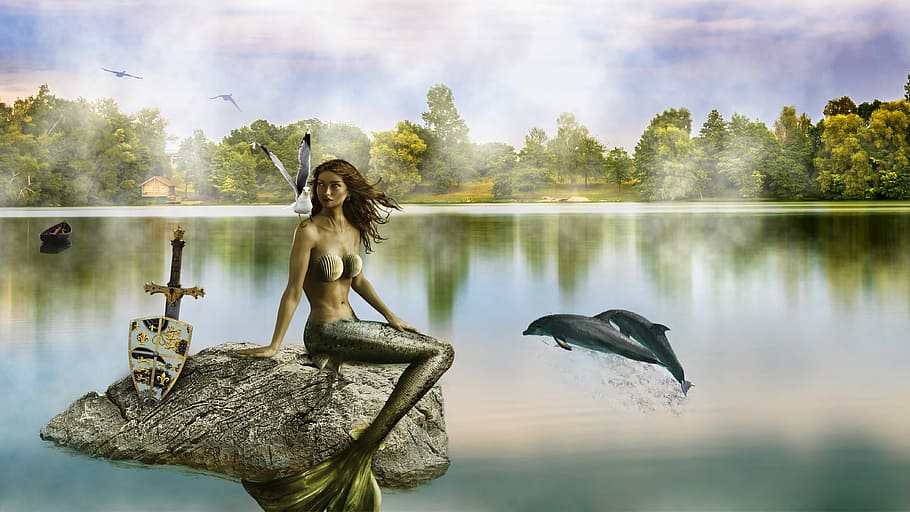 mermaid and dolphin painting, Composition, Composing, Water HD wallpaper