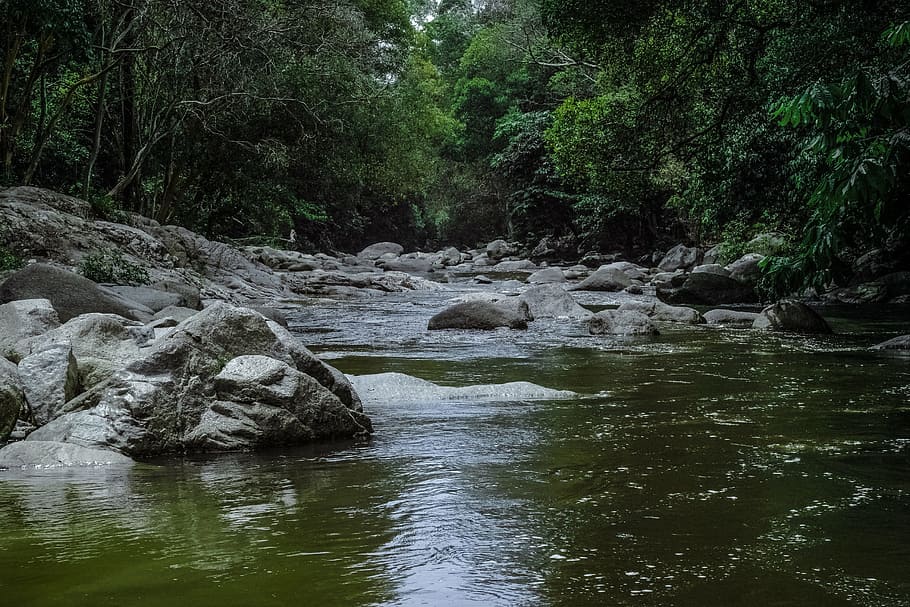 nature, water, river, stream, rocks, surface, ripples, bubbles HD wallpaper