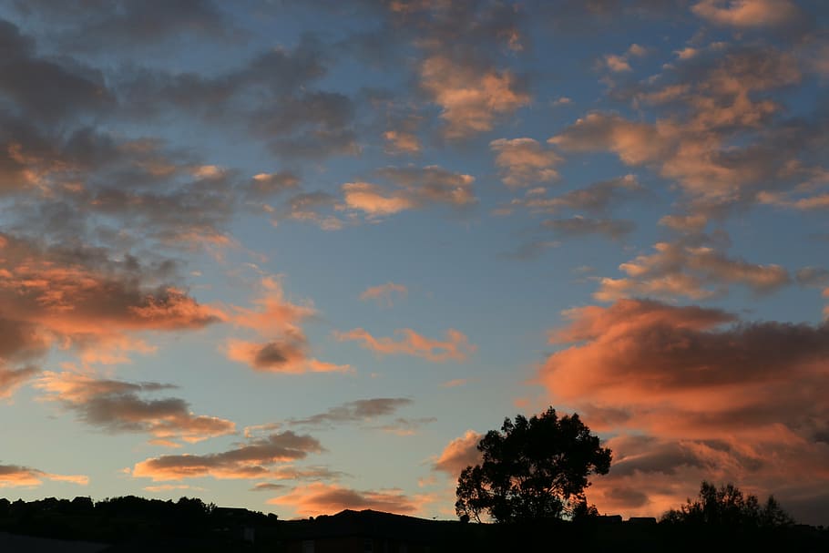 sky, sunset, dusk, evening, sunset sky, tree, cloud - sky, beauty in nature HD wallpaper