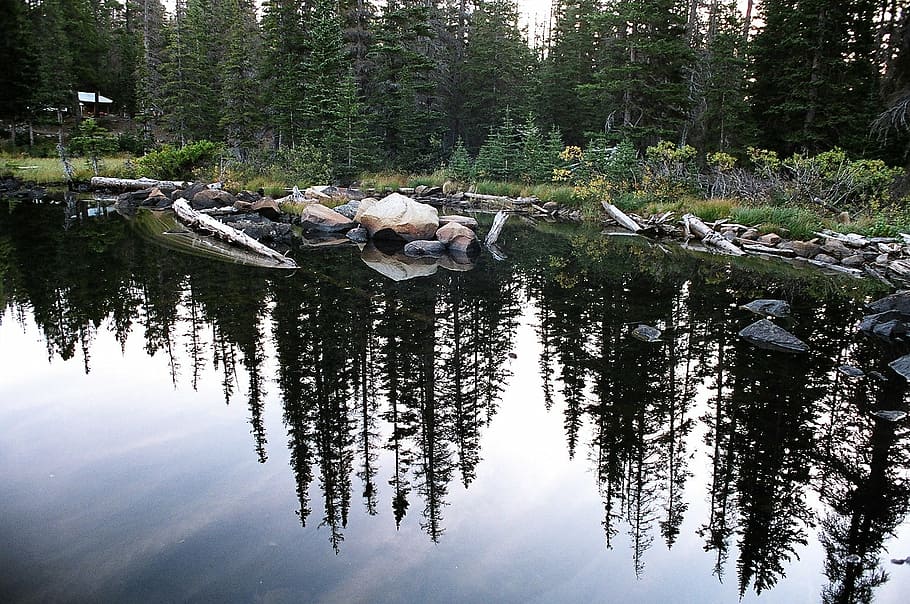 reflection, landscape, lake, larch, trees, rocks, shore, water HD wallpaper