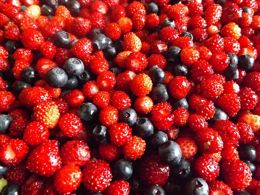 berry, summer, forest, harvest, closeup, forest berries, fruit