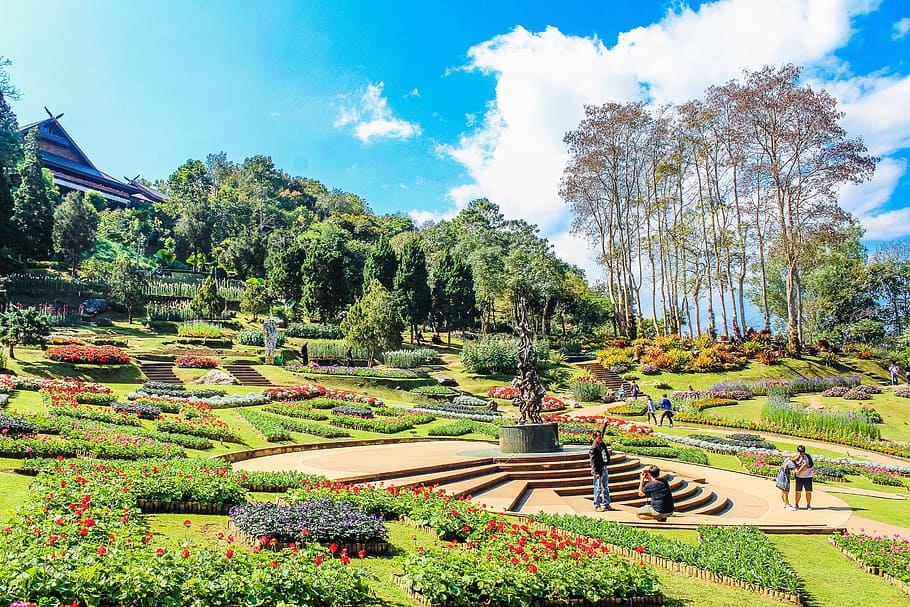 Photography of Museum, attraction, beautiful, bloom, blooming HD wallpaper