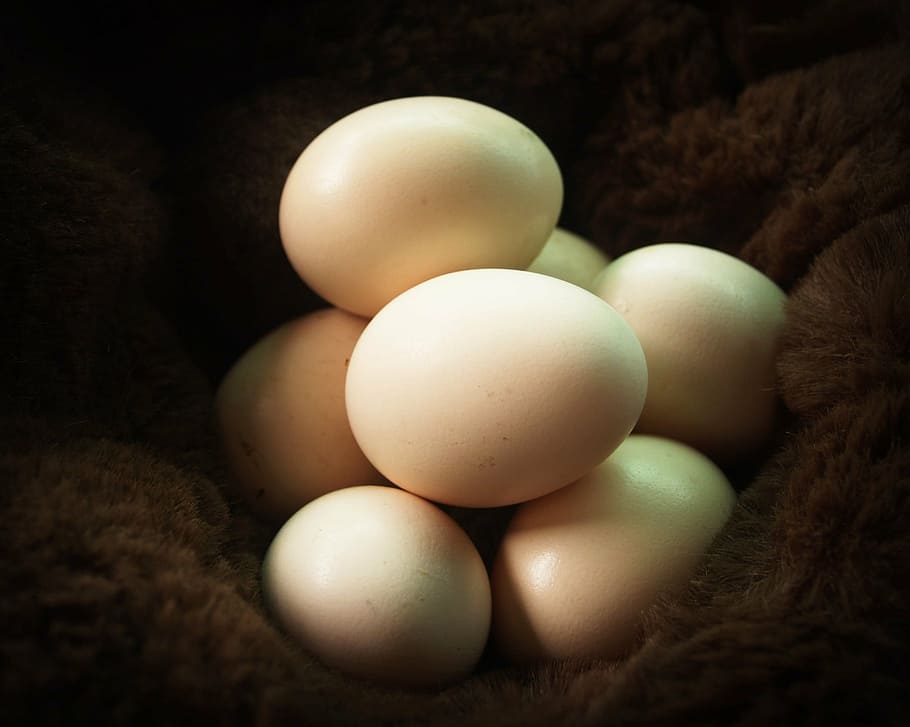 selective focus of beige eggs on brown textile, fresh, cholesterol