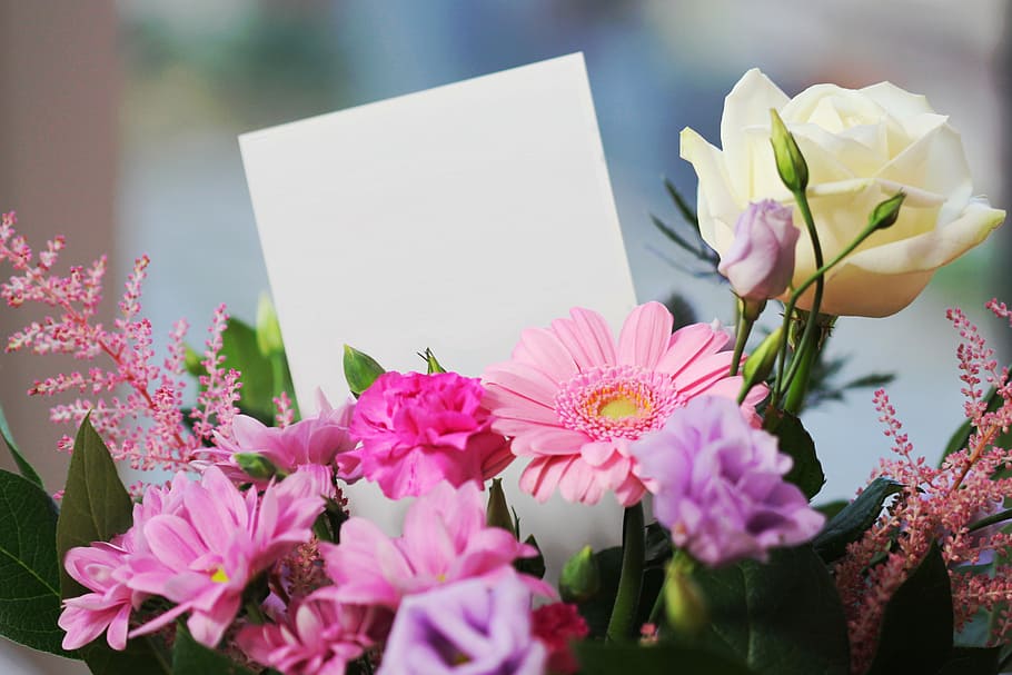 selective focus photography of pink daisies, pink carnation flowers, purple and white rose flowers bouquet HD wallpaper