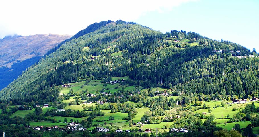alpine scenery, austria, alps, tree, plant, scenics - nature HD wallpaper