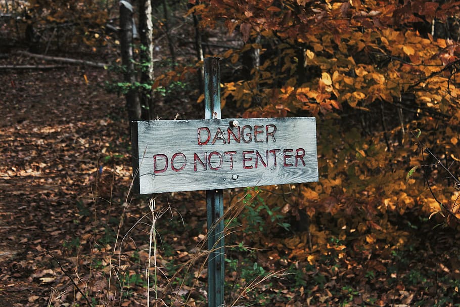 photo of gray danger do not enter signage, Danger signage surrounded by dried leaves HD wallpaper