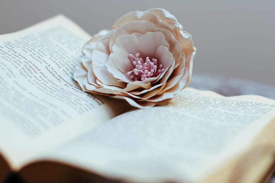 Open book and flower, various, books, education, flowers, learning, HD wallpaper