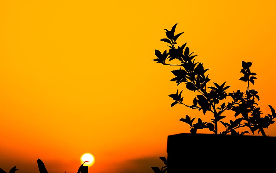 Red, Sky, Sunset, Landscape, Nature, summer, outdoor, silhouette HD wallpaper