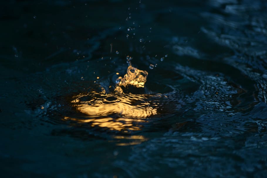 drop, water, dusk, nature, wet, wave, ripple, liquid, waterfront HD wallpaper