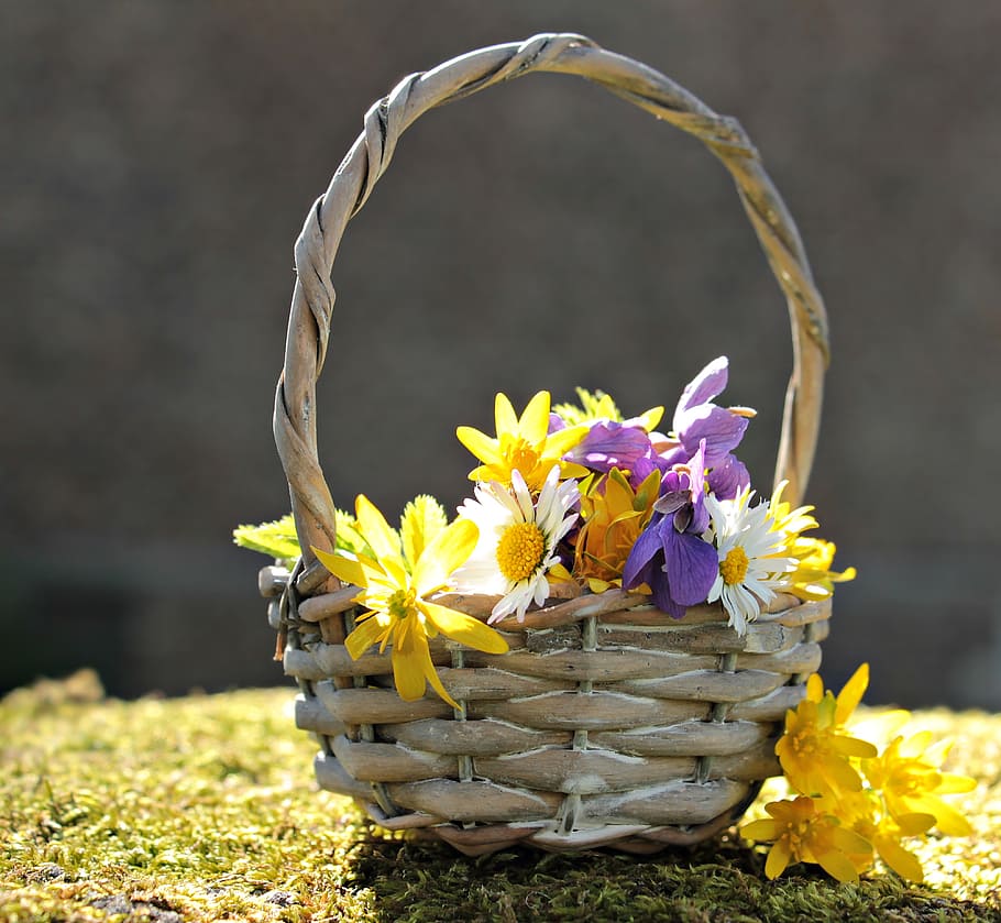 yellow and purple flowers in brown wicker basket, wildflowers HD wallpaper