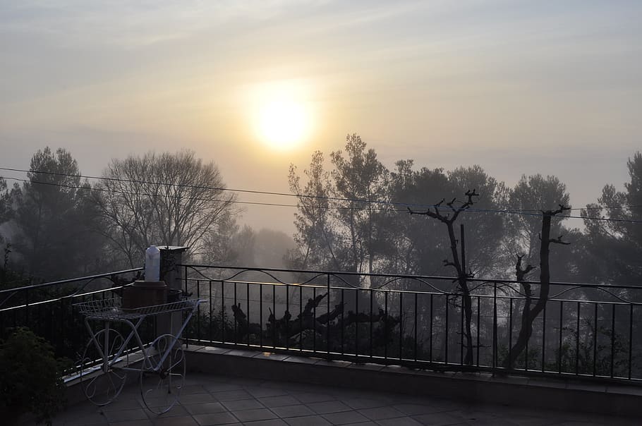 fog, horizontal plane, dawn, tree, sunset, moody, balcony, sky HD wallpaper