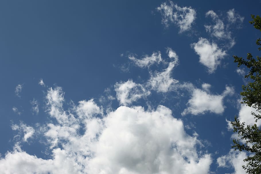 sky, clouds, tree branches, nature, summer, cloud - sky, low angle view HD wallpaper