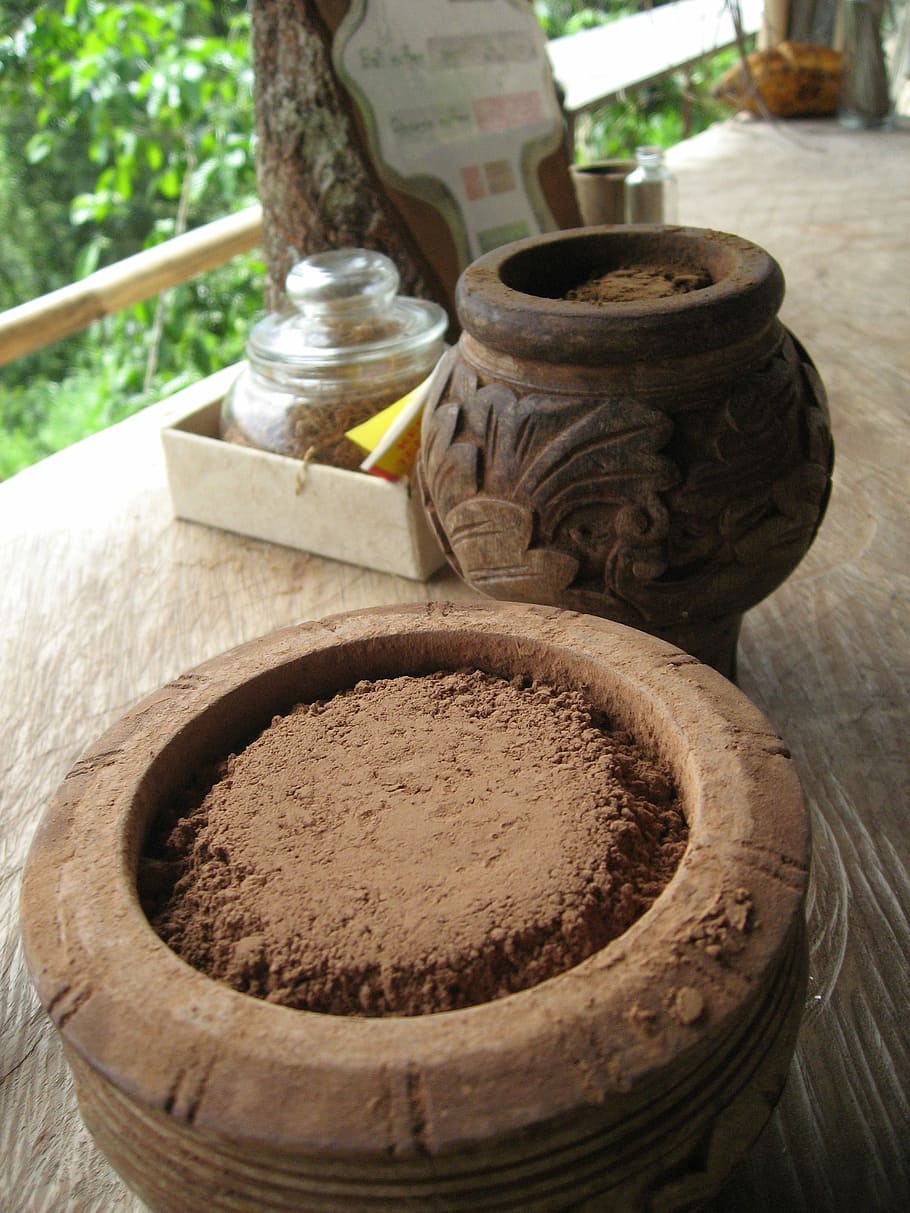 Bali, Coffee, Cacao, tree, no people, close-up, day, freshness