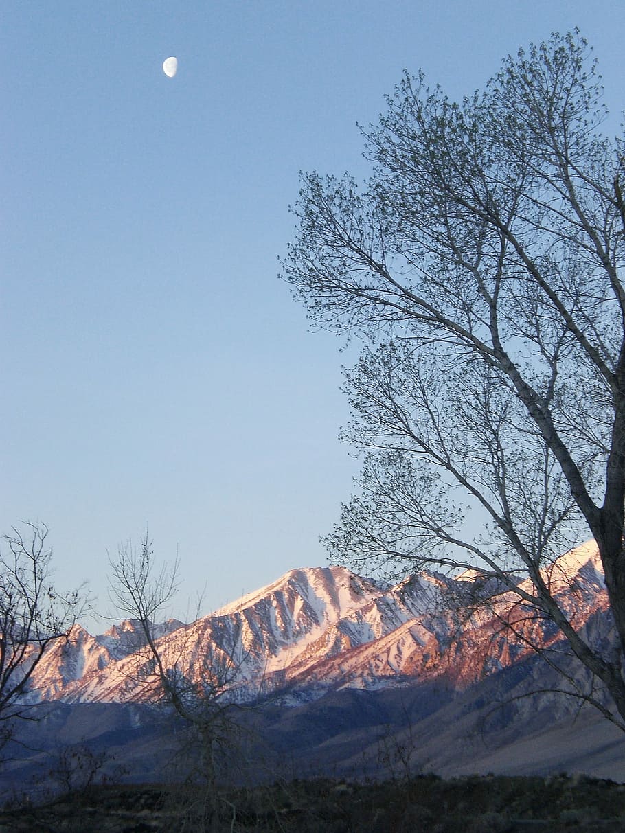 Mountains, Trees, Moon, Snow, Peaks, bare tree, winter, nature HD wallpaper
