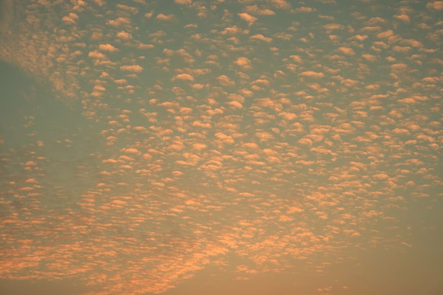 evening sky, clouds, mood, beauty in nature, full frame, no people HD wallpaper