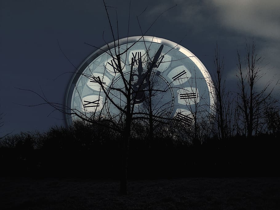leafless trees against analog clock illustration, date, hurry
