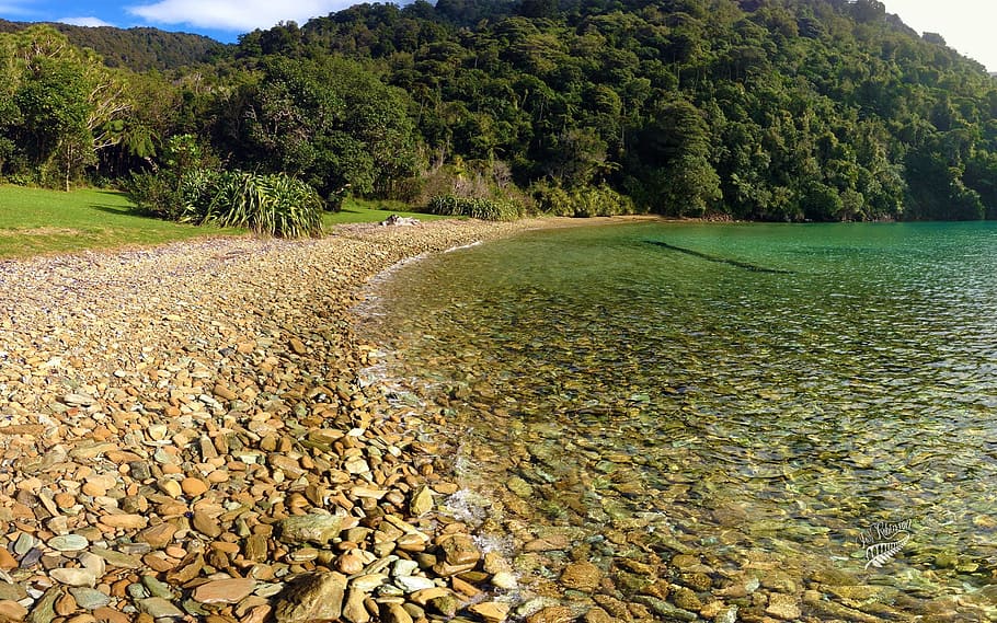 beautiful, beach, mountain, tree, plant, water, nature, day HD wallpaper