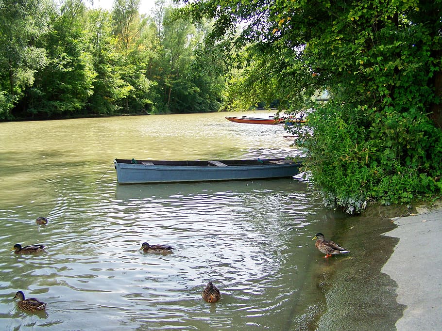 boat, river, nature, water, tree, plant, nautical vessel, transportation HD wallpaper