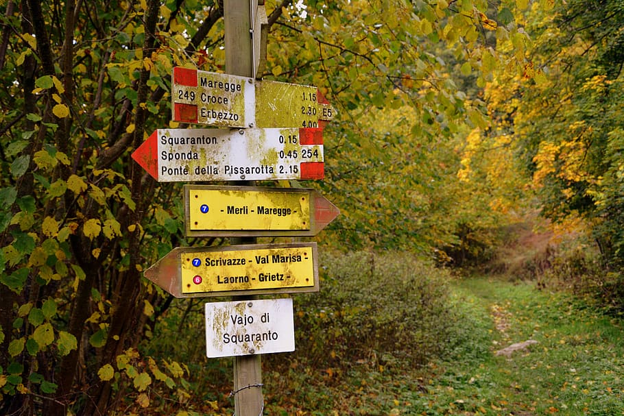 signal, indication, excursion, forest, the european path, e5 HD wallpaper