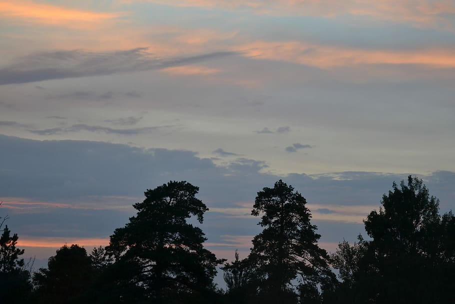 Orange, Evening, Light, Twilight, finnish, clouds, dark clouds HD wallpaper