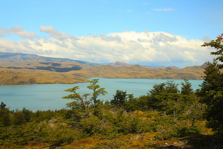 landscape photography of mountain and body of water, nothofagu HD wallpaper
