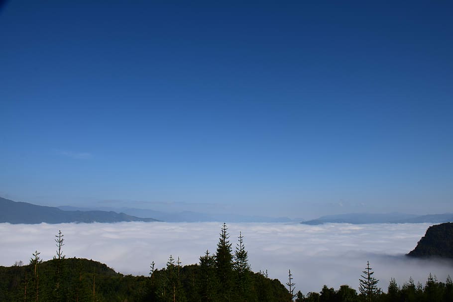 Clouds, View, Mountains, tree, blue, sky, no people, scenics HD wallpaper