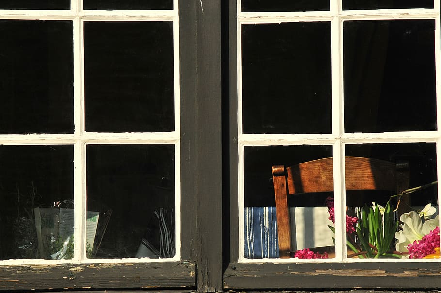 clear glass window pane, flower, looking through, chair, window view HD wallpaper