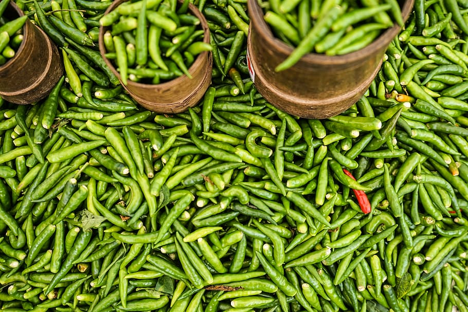 green chilly, chilies inside cups, chilli, red, pepper, plant HD wallpaper