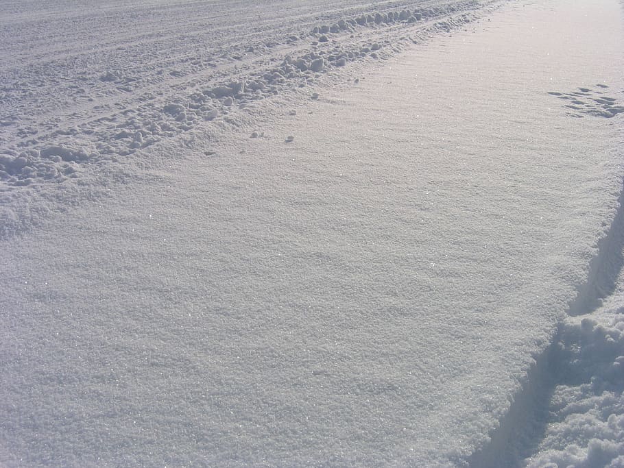 snow, winter, white, cold, season, snowfall, ice, day, land HD wallpaper