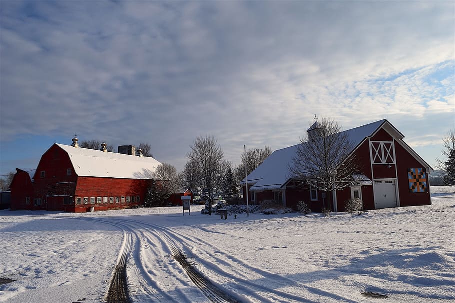 snow, barn, house, shadow, wooden, winter, rural, white, farm, HD wallpaper