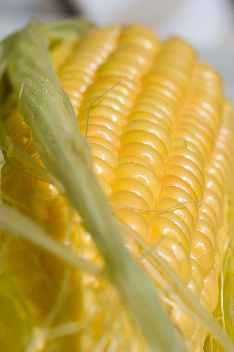 Corn, Closeup, Grilling, mat, close-up, food and drink, freshness HD wallpaper
