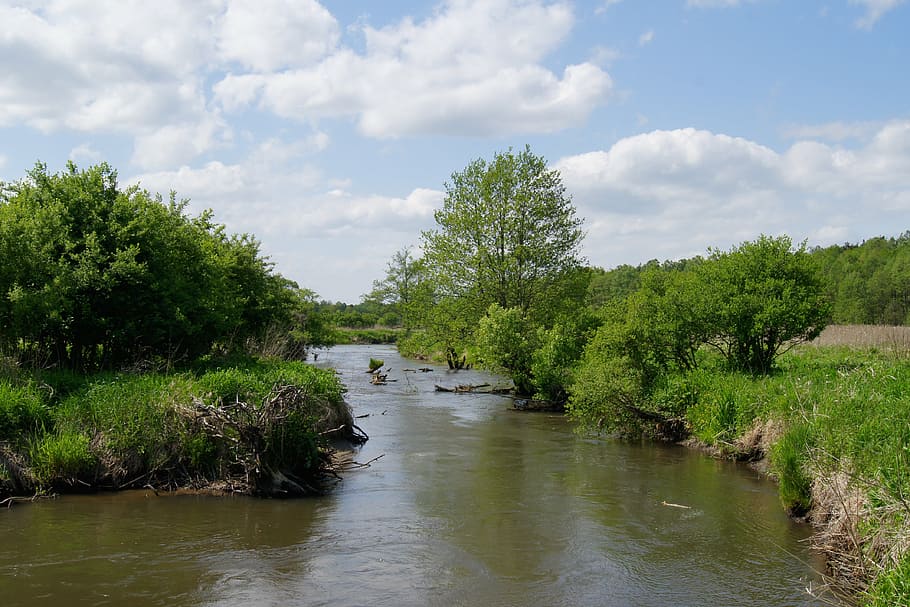 water, river, clouds, landscape, nature, poland, spring, tree HD wallpaper