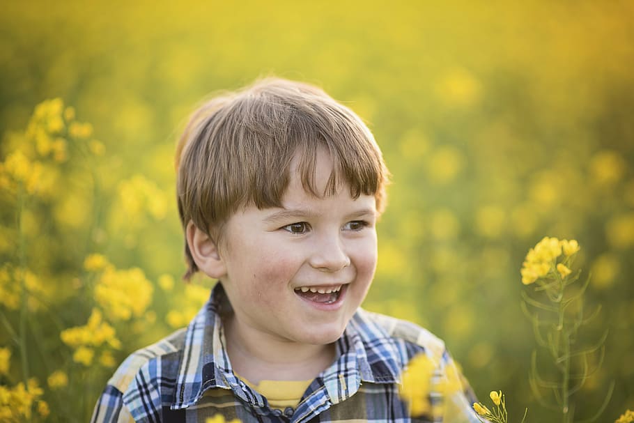 boy, face, yellow, flowers, cute, portrait, child, boys, childhood HD wallpaper