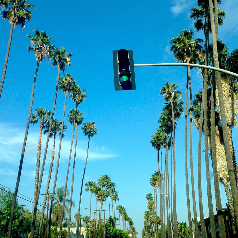 Traffic Light at Green, city, outdoors, perspective, sky, travel HD wallpaper