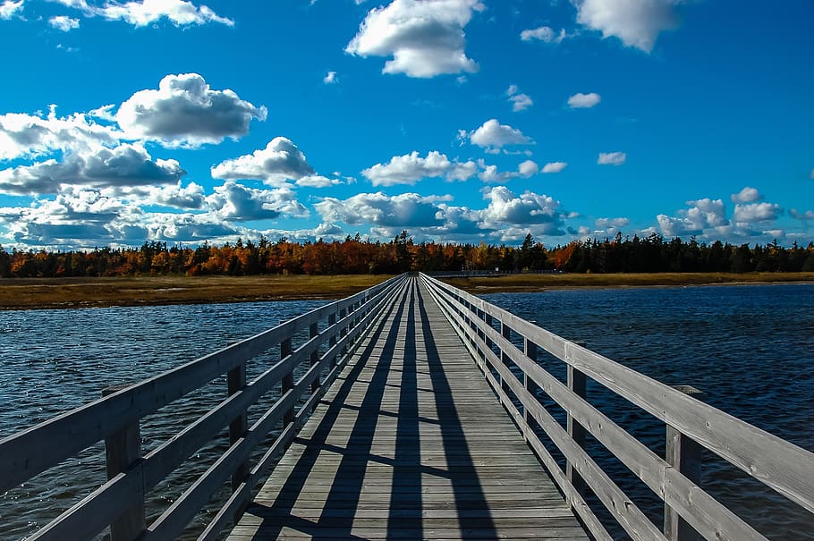 sky, fall, nature, sea, canada, trees, bridge, clouds, water HD wallpaper