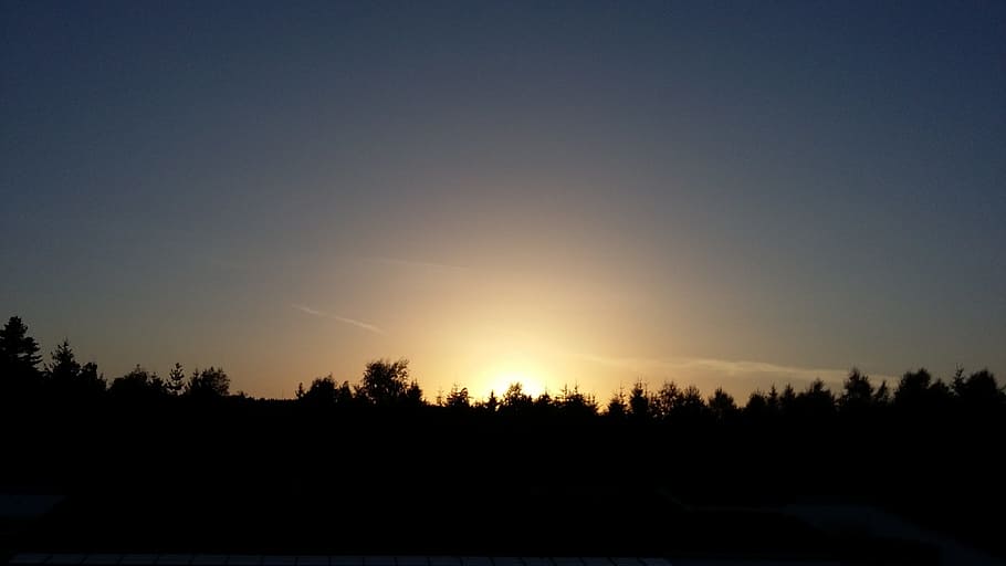 sunset, nature, sky, evening sky, landscape, silhouette, tree HD wallpaper