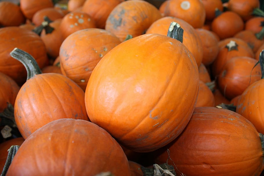 Pumpkin, Orange, Vegetables, autumn, food and drink, orange color HD wallpaper