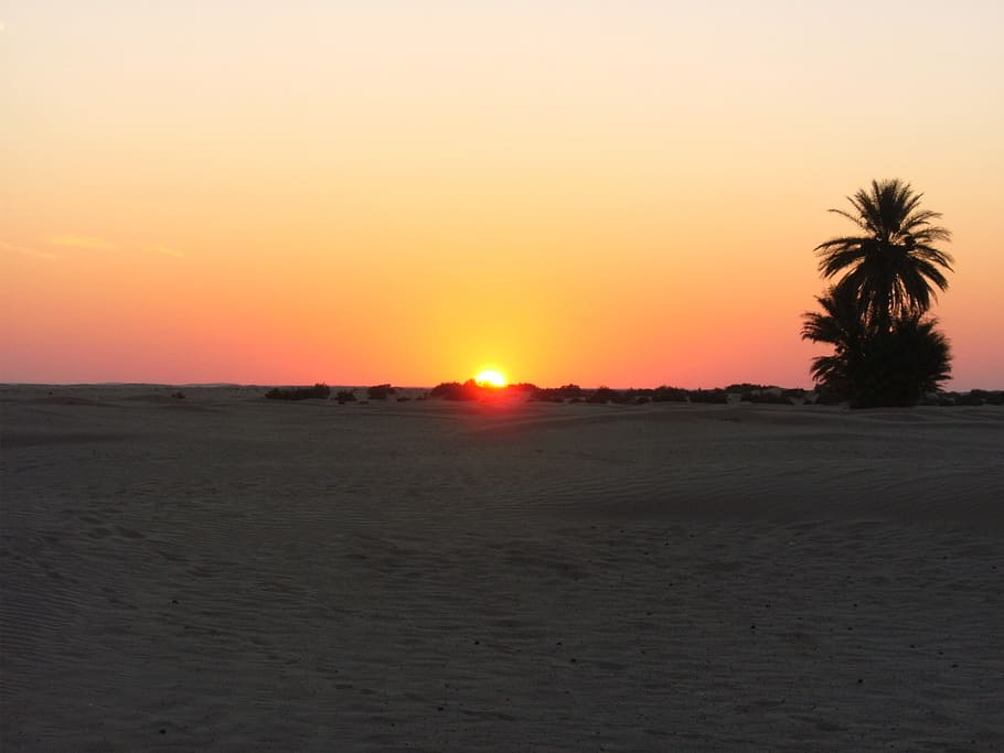 tunisia, desert, sunset, nature, beach, sea, dusk, summer, sand HD wallpaper