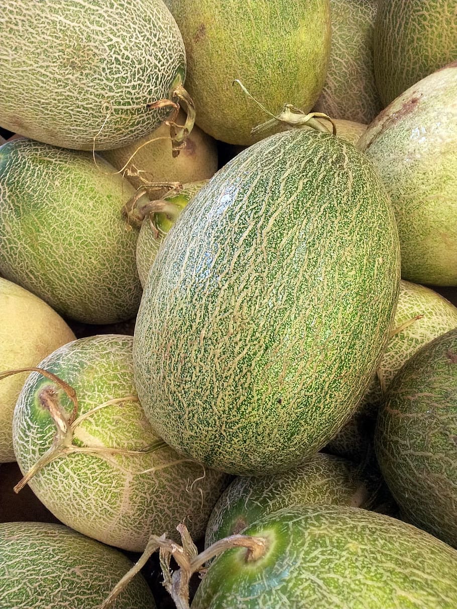 Honeydew, Pile, Fruit, Juicy, green, food, ripe, healthy, fresh HD wallpaper