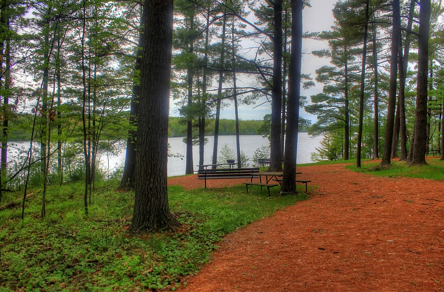 Hiking Path to the picnic path at Council Grounds State Park, Wisconsin HD wallpaper