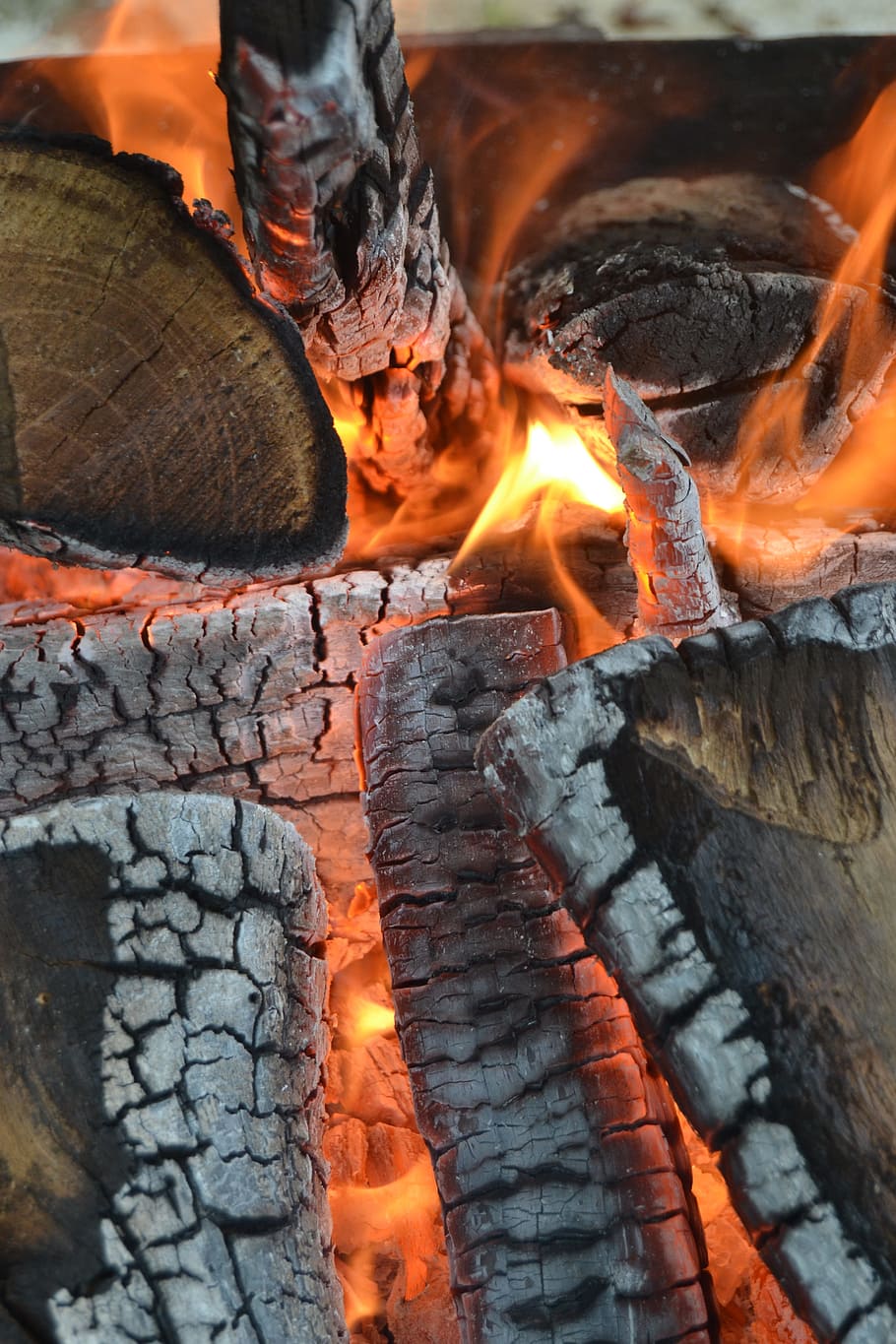 ali, wood, hot, burning, fire, fire - natural phenomenon, flame HD wallpaper