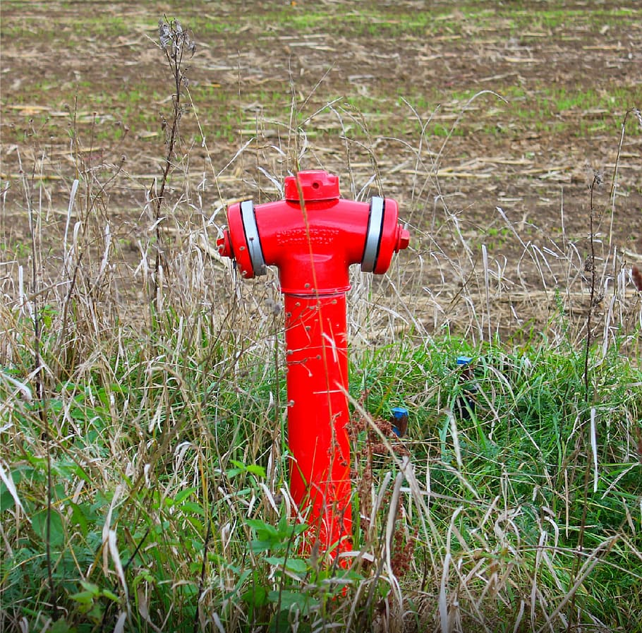 Hydrant, Red, Grass, protection, safety, day, outdoors, fire hydrant HD wallpaper