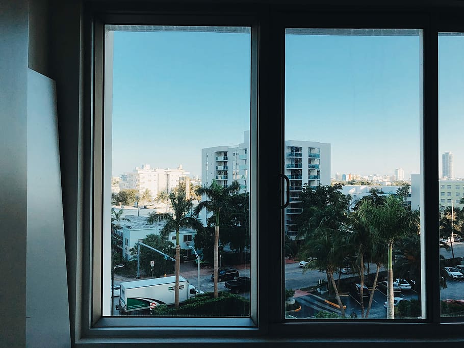 closed white slide window, clear glass window, view, sky, palm